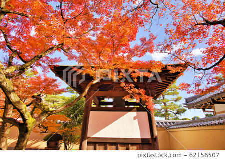 京都花園的秋天色彩 京都花園的秋天色彩 62156507