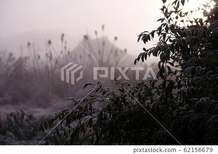 深秋的早晨模糊 深秋的早晨模糊 62156679