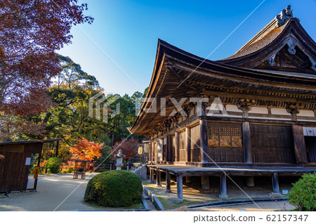 A person who takes pictures of autumn leaves in the precincts of Zensui Temple in autumn A person who takes pictures of autumn leaves in the precincts of Zensui Temple in autumn 62157347