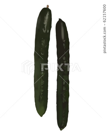 現實例證:黃瓜 現實例證:黃瓜 62157600