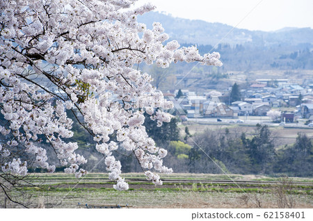 春天的風景 春天的風景 62158401