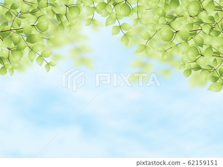 Background-green trees and blue sky Background-green trees and blue sky 62159151