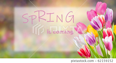 Flower spring postcard witn flowers Flower spring postcard witn flowers 62159152