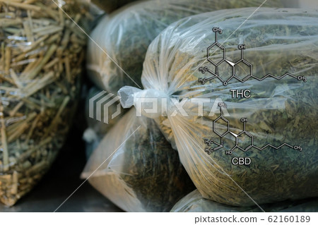 cbd & thc in dried cannabis leaves & branch. cbd & thc in dried cannabis leaves & branch. 62160189