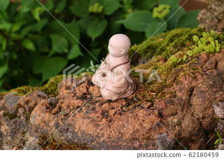 Forest, Hallasan Mountain, Valley, Stone Valley, Moss Gate, Moss Stairs, Moss, Temple Forest, Hallasan Mountain, Valley, Stone Valley, Moss Gate, Moss Stairs, Moss, Temple 62160459