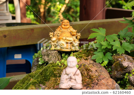 Forest, Hallasan Mountain, Valley, Stone Valley, Moss Gate, Moss Stairs, Moss, Temple Forest, Hallasan Mountain, Valley, Stone Valley, Moss Gate, Moss Stairs, Moss, Temple 62160460