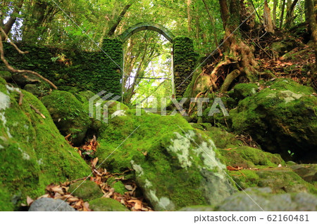 森林，漢拏，山谷，石頭，青苔正門，青苔樓梯，青苔，寺廟，孝明寺， 62160481