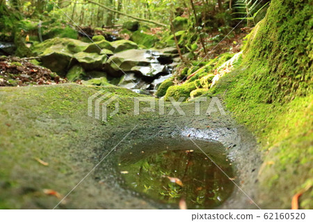 森林，漢拏，山谷，石頭，青苔正門，青苔樓梯，青苔，寺廟，孝明寺， 62160520