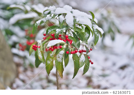 Manryo with snow 62163071