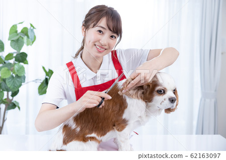 女修剪器 62163097