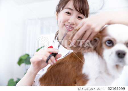 Female trimmer Female trimmer 62163099