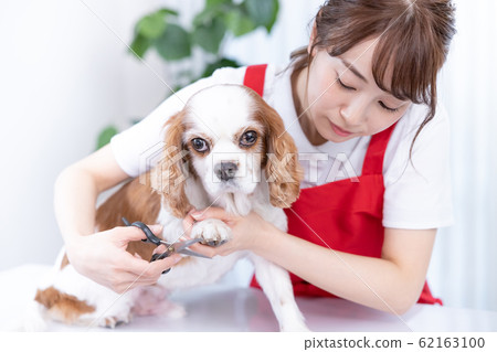 Female trimmer 62163100