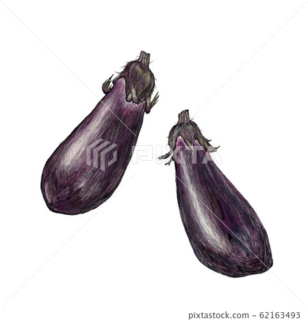 eggplant eggplant 62163493