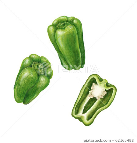 green pepper green pepper 62163498