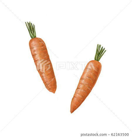 Carrots Carrots 62163500