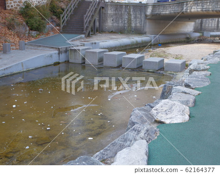 巷道市陵洞城北區 62164377