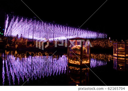 Ashikaga Flower Park Illumination Ashikaga Flower Park Illumination 62165704