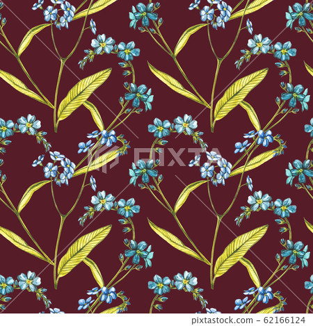 Watercolor Forget-me-not flowers. Wild flower set isolated on white. Botanical watercolor illustration, rustic flowers. Good for cosmetics, medicine, treating, aromatherapy, nursing, package design Watercolor Forget-me-not flowers. Wild flower set isolated on white. Botanical watercolor illustration, rustic flowers. Good for cosmetics, medicine, treating, aromatherapy, nursing, package design 62166124