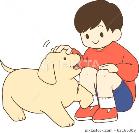 Golden Retriever puppy (human child strokes puppy's head) Golden Retriever puppy (human child strokes puppy's head) 62166309
