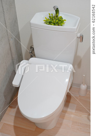 toilet  62168542