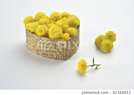菊花,特寫,有機,花瓣,愛,心形 菊花,特寫,有機,花瓣,愛,心形 62168851