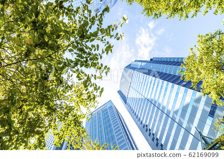 Landscape of the office area with green 62169099