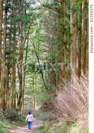 Scenery of Magome Pass 62169376