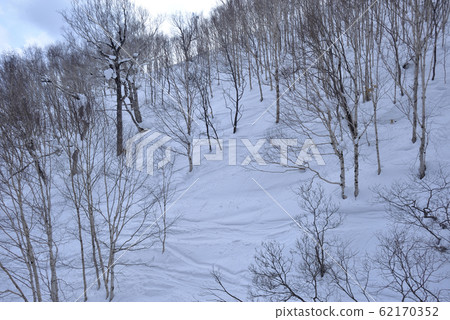 冬季,雪景,山脈,自然,風景,樹,陽光,藍色 62170352