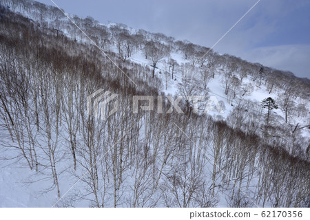 冬季,雪景,山脈,自然,風景,樹,陽光,藍色 62170356