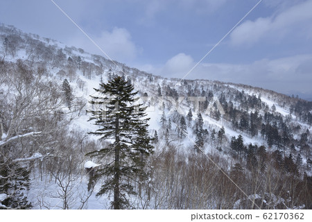 Winter, snow, mountains, nature, landscape, tree, sunlight, blue 62170362