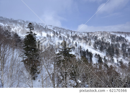 冬季,雪景,山脈,自然,風景,樹,陽光,藍色 62170366