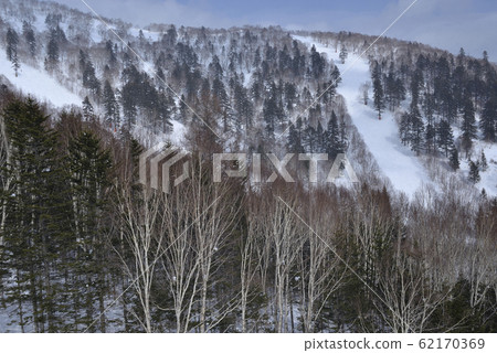 冬季,雪景,山脈,自然,風景,樹,陽光,藍色 62170369