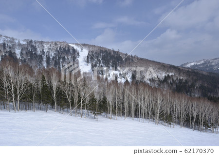 冬季,雪景,山脈,自然,風景,樹,陽光,藍色 62170370