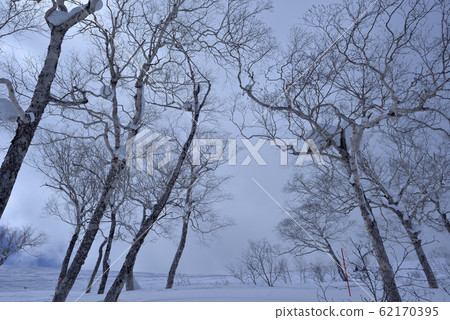 Winter, snow, mountains, nature, landscape, tree, sunlight, blue 62170395
