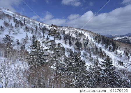 冬季,雪景,山脈,自然,風景,樹,陽光,藍色 62170405