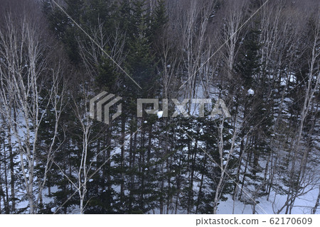 冬季,雪景,山脈,自然,風景,樹,陽光,藍色 62170609