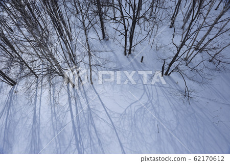 冬季,雪景,山脈,自然,風景,樹,陽光,藍色 62170612