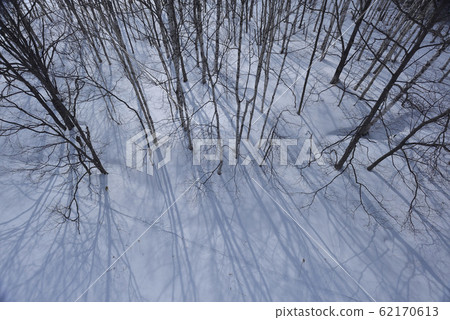 冬季,雪景,山脈,自然,風景,樹,陽光,藍色 62170613