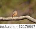 Photo of a female female 62170997