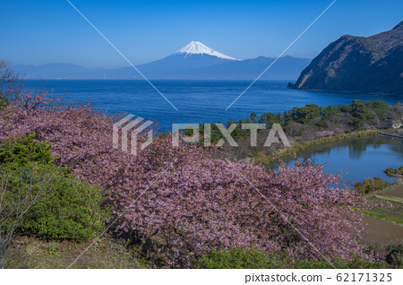 靜岡縣 駿河灣櫻花山富士明神池 照片素材 圖片 圖庫 靜岡縣 駿河灣櫻花山富士明神池 照片素材 圖片 圖庫