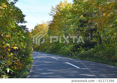 八甲田山脈的秋葉八甲田/十和田金線 62171398