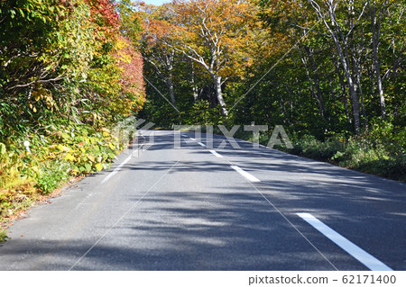 八甲田山脈的秋葉八甲田/十和田金線 八甲田山脈的秋葉八甲田/十和田金線 62171400