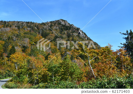 八甲田山脈的秋葉八甲田/十和田金線 62171403