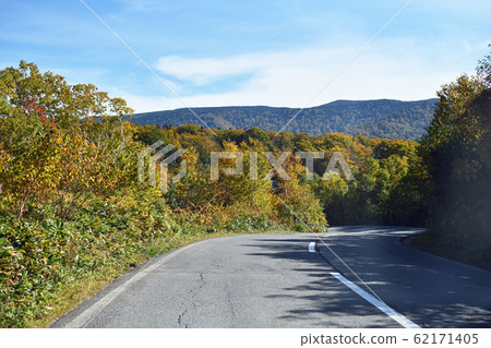 八甲田山脈的秋葉八甲田/十和田金線 八甲田山脈的秋葉八甲田/十和田金線 62171405