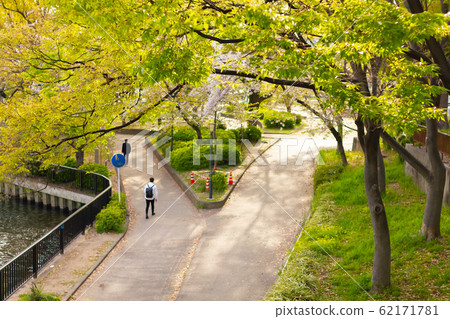 People walking on the walk street in summer city 62171781