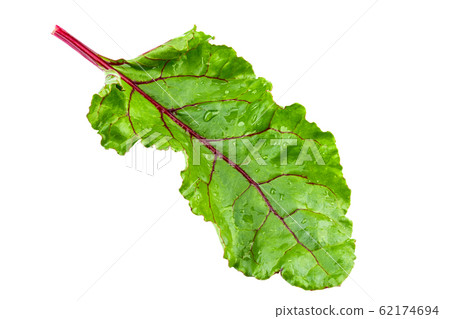 Beet leaves isolated on white. Full depth of Beet leaves isolated on white. Full depth of 62174694