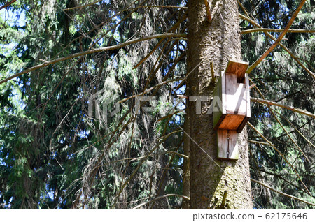 A small wooden birdhouse, a house for birds  62175646
