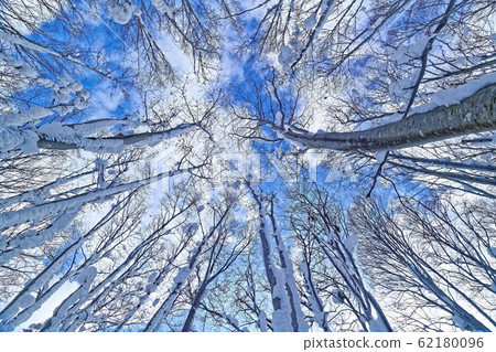 Hakkoda, severe cold 62180096