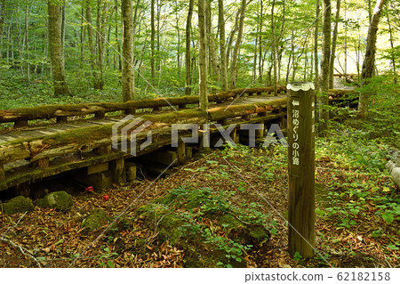 Autumn leaves of Hakkoda mountain range Tsutanuma Autumn leaves of Hakkoda mountain range Tsutanuma 62182158