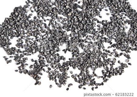 Kujo Onion Seeds Kujo Onion Seeds 62183222
